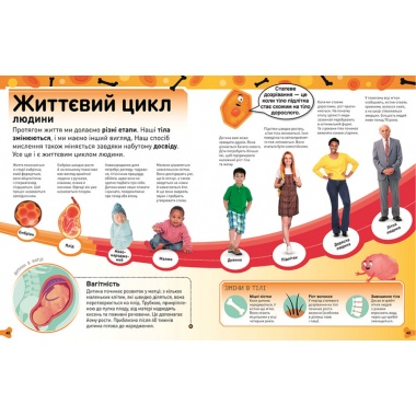 Фантастичне тіло. Шалена кров, круті кістки, потайні нутрощі й інші дивовижі (українською мовою)