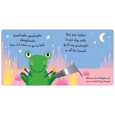 Goodnight Frog (A Magic Torch Book)