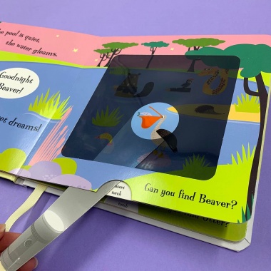 Goodnight Frog (A Magic Torch Book)
