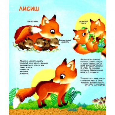 Як живуть крихітні створіння