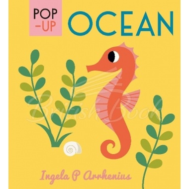 Pop-up Ocean