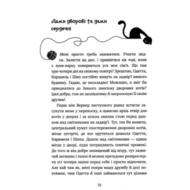 Пригоди кота-детектива. Книга 5: Кіт під прикриттям