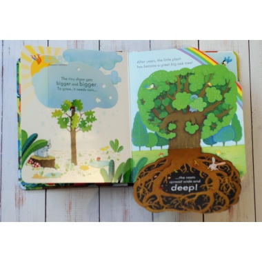 Книга Peep inside a Tree