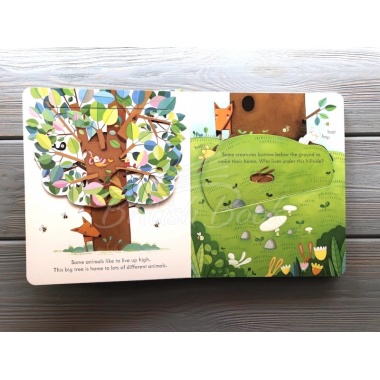 Книга Peep inside Animal Homes