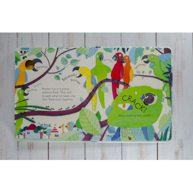Книга Peep inside the Zoo