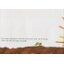 Книга The Very Hungry Caterpillar