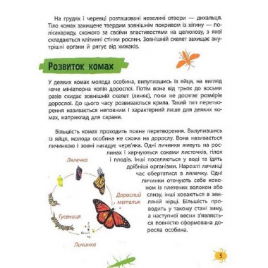 Мініенциклопедія. Комахи та павуки