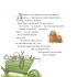 Одного весняного дня. Історії парку Персі