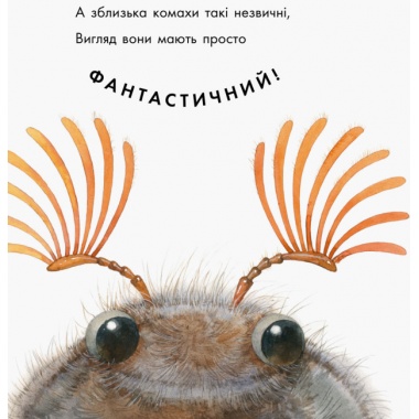 Знайомі комахи