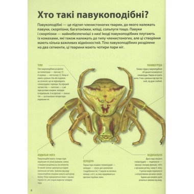 Велика книга комах. Рубен Дуро