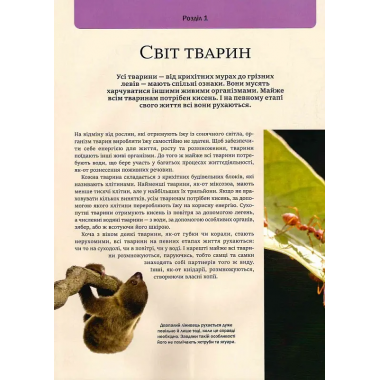 Велика книга тварин