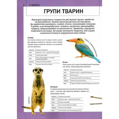 Велика книга тварин