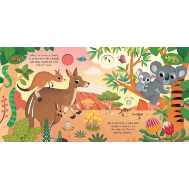 Baby Animal Sounds
