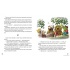 Кіт-лікар. Заблукала вівця Книжка 1